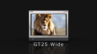 GT25ワイド